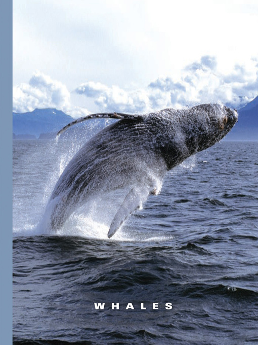 Title details for Whales by Sophie Lockwood - Available